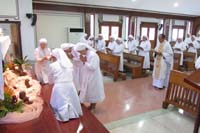 IMG_0521