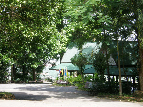 PA040982