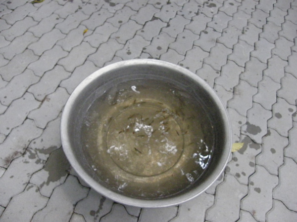 PA041025