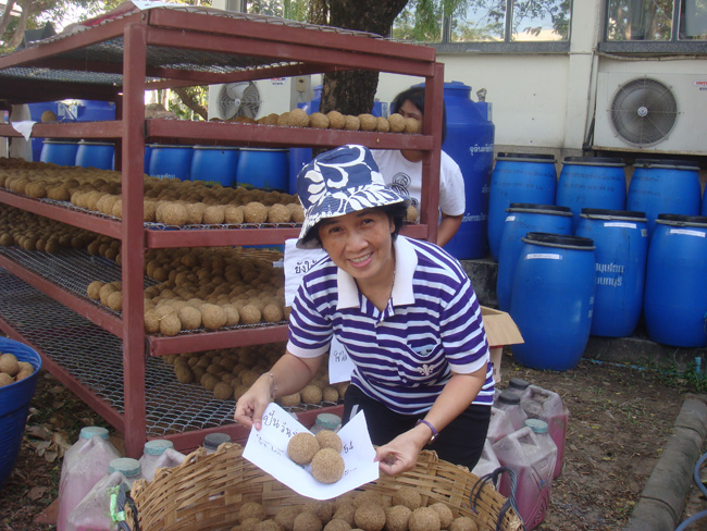 DSC09239